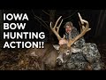 Beautiful Iowa Buck!! | November Bowhunting Action!