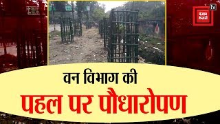 #Motihari:Forest Department की सराहनीय पहल, खाली जगहों, College और school के बाहर लगाए plants