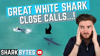 Shark Scientist REACTS to Great White Shark "Close calls"