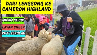 Sambung Percutian Ke Cameron Highland - Part 2