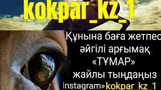 Әйгілі арғымақ «ТҰМАР»  жайлы. 👍🔥🐎