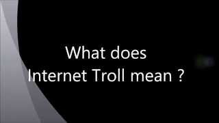 What does Internet Troll mean?