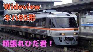 【迷列車で行こう ほぼ日編第131日】飛騨路、越中路のアクセス特急、奮闘するワイドビューひだ