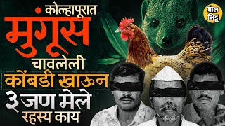 मुंगूस चावलेली कोंबडी खाऊन विषबाधा, पण घातपाताचा संशय, Kolhapur मधल्या मांढरे गावात काय घडलं ?