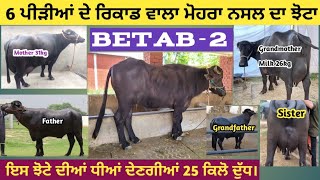 ਇਸ ਝੋਟੇ ਦੀਆਂ ਧੀਆਂ ਦੇਣਗੀਆਂ 25 ਕਿਲੋ ਦੁੱਧ।। Murrah Bull Betab 2