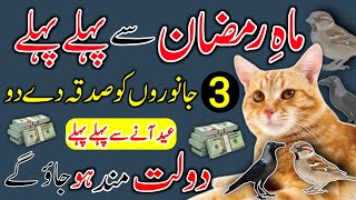 Rizq Mein Barkat Ka Wazifa | Wazifa For Money | Dolat Ka Wazifa | Wazifa For Hajat | Rohani Wazifa