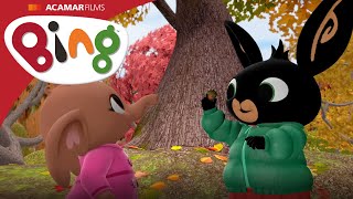 Acorns | Bing Full Episode | Bing English