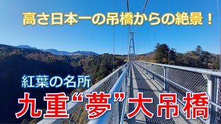 【大分】九重夢大吊橋と龍門の滝