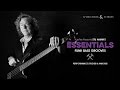 Stu Hamm's Essentials: Funk Bass Grooves - Introduction