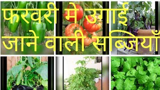 Vegetables grown in February/march month || फरवरी  मार्च में उगाई जाने वाली सब्जियॉ।