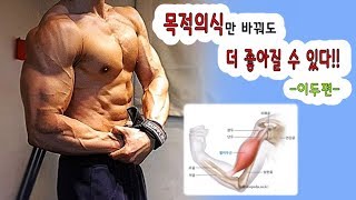 바벨컬-그립너비에 따른 이두의 활성면적은 다르다.