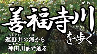 【4K撮影・全徒歩】善福寺川を歩く　遅野井の滝から神田川まで辿る（たどる）　東京都杉並区