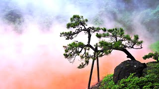 【大分県 |  日帰り | 予算1万】別府をとことん満喫してきた♨