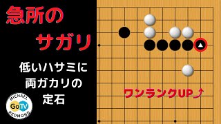 一間低バサミ、両ガカリの定石