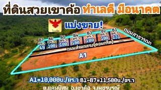 ขายที่ดินเขาค้อ+ทำเลการท่องเที่ยว/โทร.094-2826264