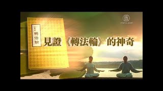 【見證《轉法輪》的神奇】系列報導（完整版）｜法輪功學員真實故事｜遇見法輪大法的美好｜