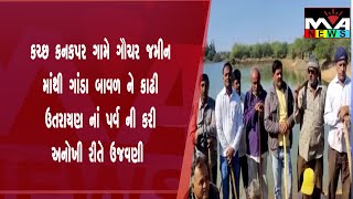 કચ્છ અબડાસા ના કનકપર ગામે ગૌચર જમીન માંથી ગાંડા બાવળ ને કાઢી ઉતરાયણ નાં પર્વ ની કરી અનોખી રીતે ઉજવણી