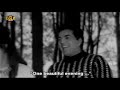 nutan u0026 dharmendra ki superhit movie 1966 • blockbuster movie in bollywood cinema trendingmovies