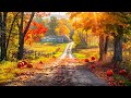 Relaxing Fall Ambience with Peaceful Soothing Music🍁November Autumn Color in New England ~ Healing