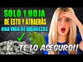 Sólo con 1 hoja LAUREL  atrae dinero, esto es una mina de oro (¿lo sabías?)