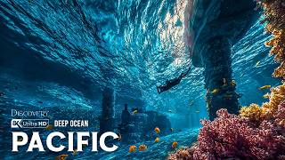 Pacific Incredible | What Lies Beneath the World’s Largest Ocean? Discoveries from the Deep