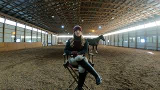 SC Equestrian introduction Video