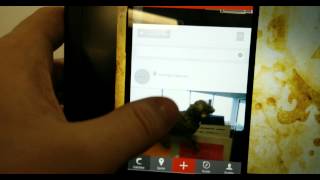Ionic scroll bug