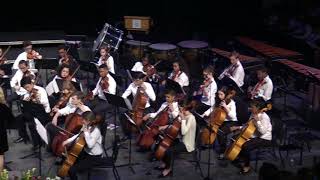 UDHS 2018 Instrumental Spring Concert - Orchestra -  Italian Symphony Movement I