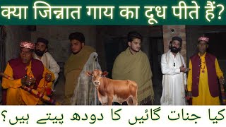 Gai Ka Doodh Jin Lay Gaya | Ashiq Bhai aur Sher Bhai | Episode 10 | Part 1 | ASHIQ BHAI K SATH