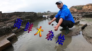 吴哥家后院的300平巨无霸坑，20斤自家腌制鳗鱼仔引来海鲜大杂烩