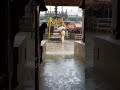 raining at kollur mookambika temple during seeveli procession purapadu divine dharshan