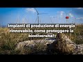 Impianti di produzione di energia rinnovabile, come proteggere la biodiversità?