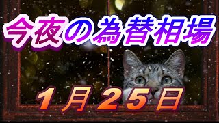 【TAKA FX】今夜のドル、円、ユーロ、ポンド、豪ドルの為替相場をチャートから解説。1月25日