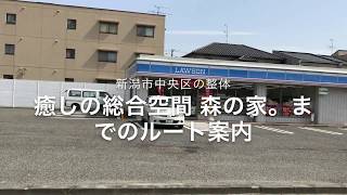 新潟市中央区の整体 癒しの総合空間 森の家。までのルート案内