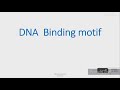 DNA binding motif_2  Helix-loop-helix