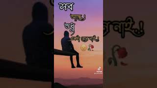 সব আছে কিন্তু শুধু বোন নেই