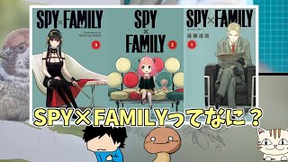 【SPY×FAMILY】について少しだけ盛り上がった（配信切り抜き）