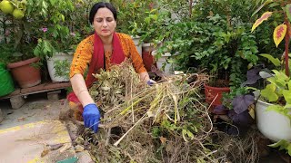 Make best soil with Garden waste | Garden waste management | Rashmi's World - Create to Decorate