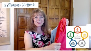 5 Elements Wellness Program