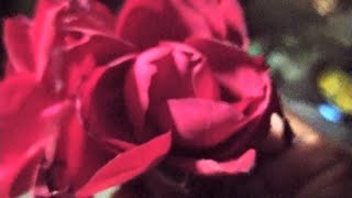 Chal Ghar Chale Mere Hamdam- MALANG , Romantic song-2020