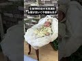 生後100日目の写真撮影👶　 shorts 赤ちゃん