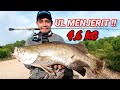 Siakap Monster 4.6kg | Ultralight Rekod Peribadi | Seahawk Lite Pro 800 | Vlog18