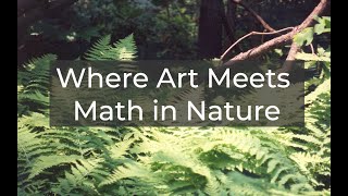 Ed-Venture: Where Art Meets Math in Nature