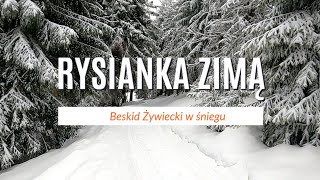 Rysianka i beskidzkie hale zimą (skrót szlaku) [NAPISY PL]