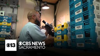 California prison program helps inmates transition into workforce upon release