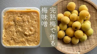 かんたん！完熟梅で作る梅味噌　傷の梅で作れます＃梅味噌＃梅