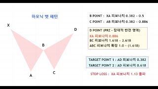 하모닉 패턴 기초 영상 (뱃 패턴)