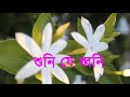 remember ~ নাই বা হোল দেখা ~ night video ~ goodnight video ~ শুভ রাত্রি