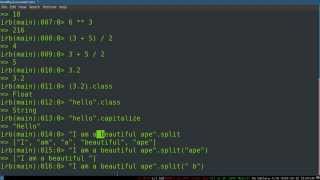 Programming Ruby 04 -- Objects, Messaging, and Basic Types