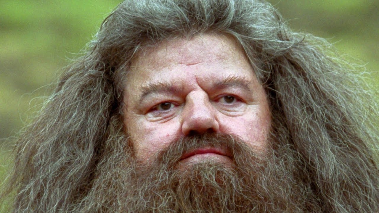 There’s No Hogwarts Without You Hagrid 💔 Tribute - YouTube